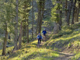 Bangtail Ridge Trail near Bozeman  Montana  USA