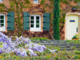 Viansa Winery  Sonoma Valley  California  USA