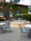 Viansa Winery  Sonoma Valley  California  USA