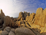 Jumbled Rocks  Joshua Tree National Park  California  USA