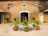 Viansa Winery  Sonoma Valley  California  USA