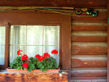Fly Fishing Rods on Cabin Wall  Lake City  Colorado  USA