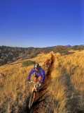 Mountain Bikers on the Arizona Trail  USA