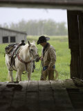 Cowboy and Horse in the Rain  Judith Gap  Montana  USA