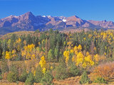 San Juan Mountains  Uncompahgre National Forest  Colorado  USA
