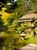 Japanese Tea Garden  Golden Gate Park  San Francisco  California  USA