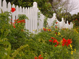Border Garden  New Smyrna Beach  Florida
