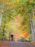 Mountain Biker on Forest Road near Copper Harbor  Michigan  USA
