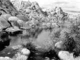 Barker Dam  Joshua Tree National Park  California  USA