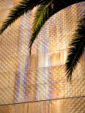 Opening Day  New deYoung Museum  San Francisco  California  USA