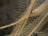 Close-up of a Brown Mesh Fishing Net