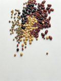 Assortment of Colorful Beans