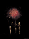 Bright and Colorful Fireworks Exploding in the Night Sky