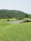 A Landscaped Golf Course with a Pond