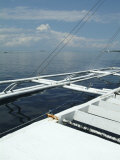 Catamaran on Calm Ocean