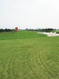 A Landscaped Golf Course with Sand Trap
