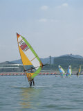 Wind Surfers Surfing in the Sea