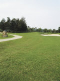 A Landscaped Golf Course with Sand Trap