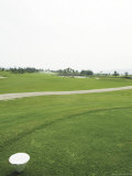 A Landscaped Golf Course with Path