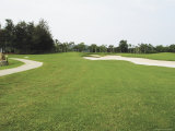 A Landscaped Golf Course with Sand Trap