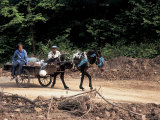 People on a Horse Cart