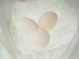 Three White Eggs Sitting in White Nest
