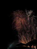 Colorful Fireworks in the Night Sky