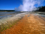 Bacteria Mat and Excelsior Geyser (Mid Way Geyser Basin)  Yellowstone National Park  Wyoming