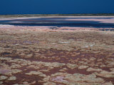 Salt Mines of the Araya Peninsula  Salinas De Araya  Araya  Venezuela
