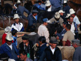 Sunday animal market  Karakol  Kyrgyzstan