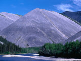 River Flanked by Spruce Trees and Bare Hills  Near Eagle Plains Ogilvie River  Yukon  Canada