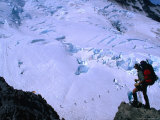 Mountain Climber and Mt Rainier from Emmons Glacier  Mt Rainier National Park  Washington  USA