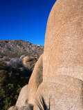 Mozogranite Boulder Formations Near the Jumbo Rocks Campground  Joshua Tree NP  California  USA