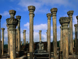 Lotus Stem Pillars Surround Dagaba Ruins at 8th Century Mandalagiri Vehara  Anuradhapura  Sri Lanka