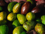 Fruit Stall at Market  Villa De Leyva  Boyaca  Colombia