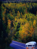 Travelling Through Autumn Landscape  Colorado  USA