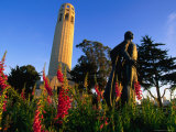 Colombus Statue at Coit Tower  San Francisco  USA