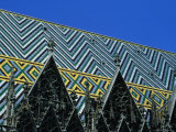 Tiled Rooftop of St Stephens Cathedral  Vienna  Austria