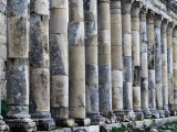 Columns along Cardo  Main Street of Historic Site  Apamea  Hama  Syria