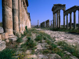 The Cardo Colonnade and Portico of the 1st Century Site of Apamea  Apamea  Tartus  Syria
