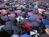 Umbrellas at the Passion Plays During Easter Week  Kalwaria Zebrzydowska  Poland
