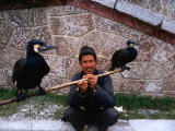 Fisherman with His Fishing Cormorants  Guangzhou  China