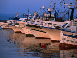 Fishing Boats in Porto Calasetta  Sant' Antioco  Sardinia  Italy