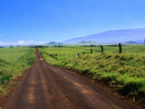 A View of Mauna Kea from the Road Leading Through Parker Ranch  Waimea  Hawaii  USA