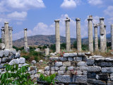 Temple of Aphrodite's Fourteen Columns Dating from 1st Century BC  Nazilli  Aydin  Turkey