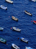 Fishing Boats at Anchor  Cape Sizun  Brittany  France