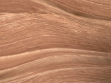 Sandstone in Colorado Plateau  Utah  USA
