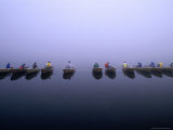 Fishing Competition on Fuji Five Lakes  Mt Fuji  Japan