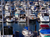 Boats at Marina of Fisherman's Wharf  San Francisco  California  USA