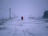 Lone Resident Walking on Deserted Street During a Blizzard in Winter  Resolute  Canada